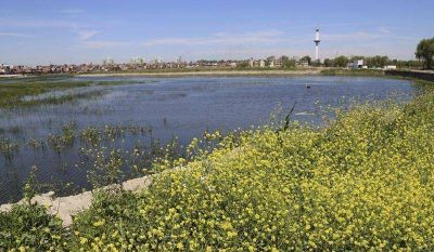 El Lago Soldati recupera su ecosistema original