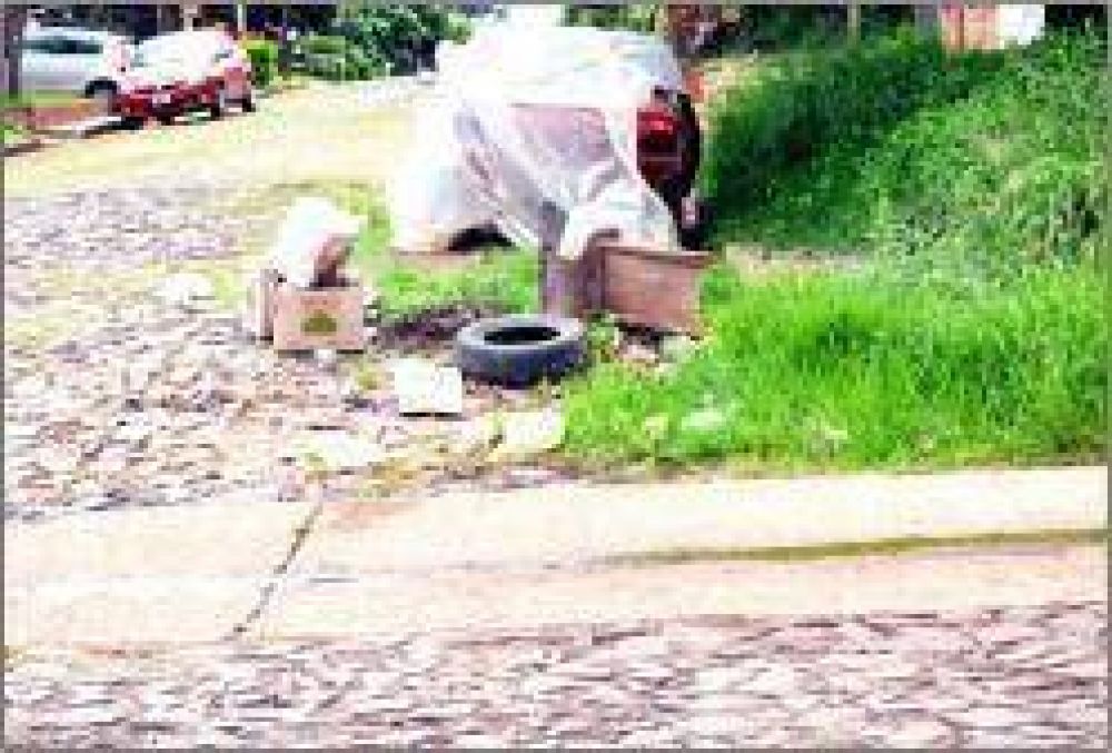 Basural en formaci�n en el barrio San Alberto