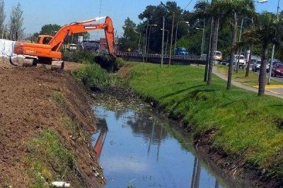 Tigre trabaja en la limpieza y mantenimiento de los arroyo