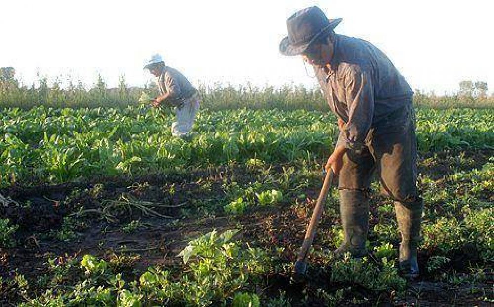 �A los bolivianos nos sobra el trabajo en Mar del Plata�