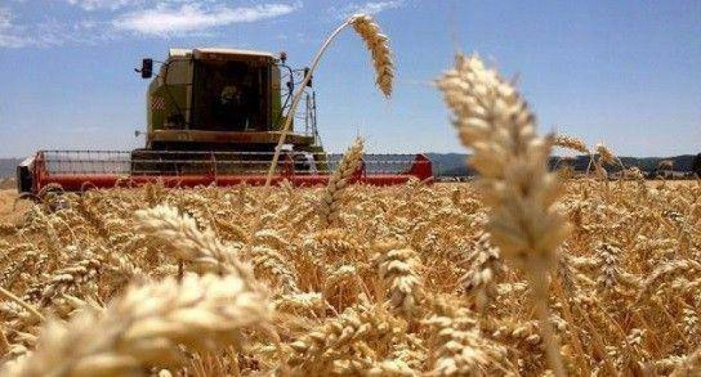 La FAA destac� los cambios anunciados para las retenciones, pero aspira a que haya una �pol�tica integral� para el sector 