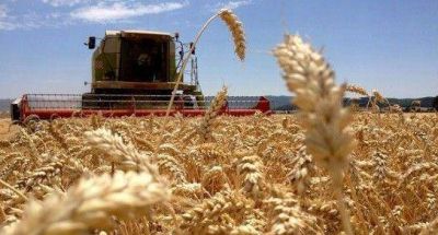 La FAA destac� los cambios anunciados para las retenciones, pero aspira a que haya una �pol�tica integral� para el sector 