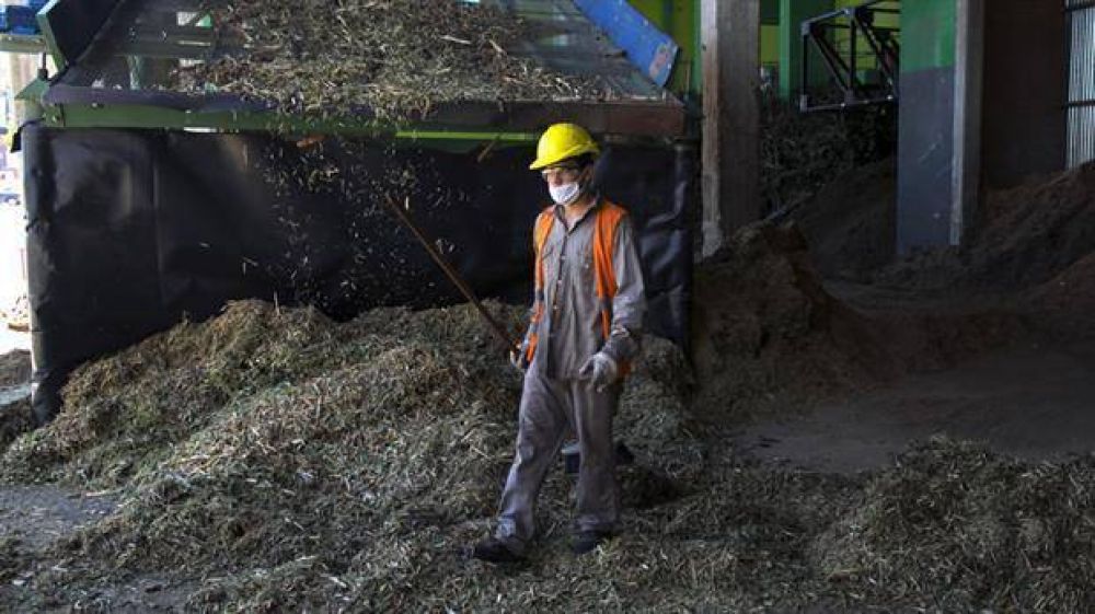 Impondr�n multas a los comercios que no separen la basura o la saquen fuera de hora