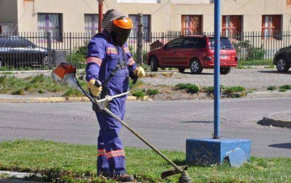 Se realizaron trabajos de forestaci�n en espacios p�blicos