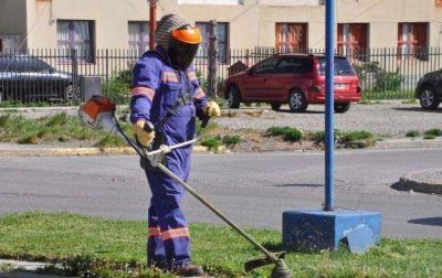 Se realizaron trabajos de forestaci�n en espacios p�blicos