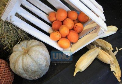 Entre R�os adhiri� a la Ley de Reparaci�n Hist�rica a la Agricultura Familiar, Campesina e Ind�gena