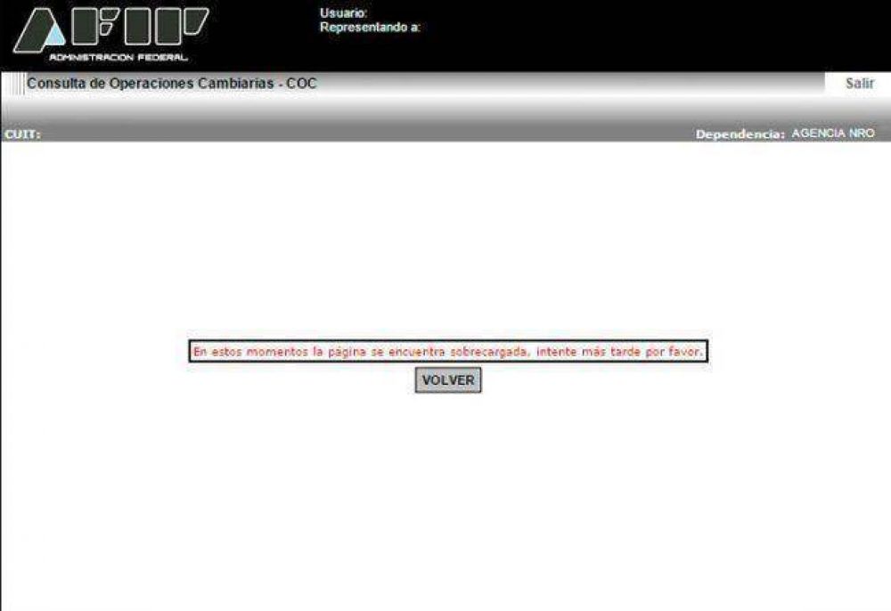 Kicillof no entra a la web de la AFIP: �Se han vendido ayer d�lares en cantidad muy importante�