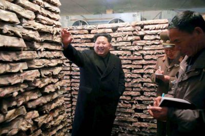 La Iglesia coreana �de misi�n� en Pyongyang