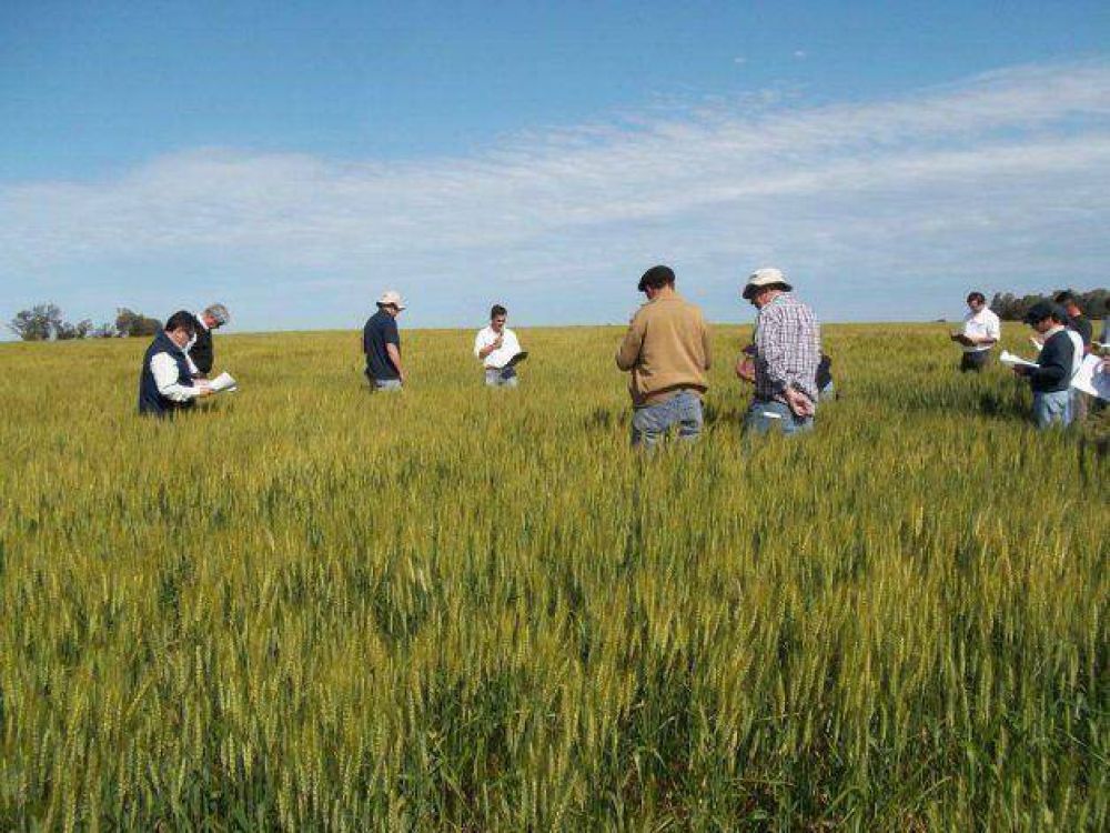 Los peque�os productores temen que las nuevas medidas no los incluyan, dijo Miotti