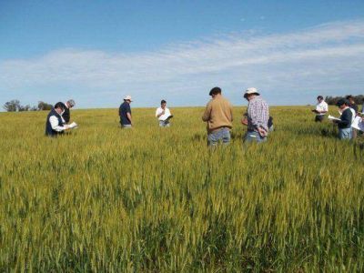 Los peque�os productores temen que las nuevas medidas no los incluyan, dijo Miotti