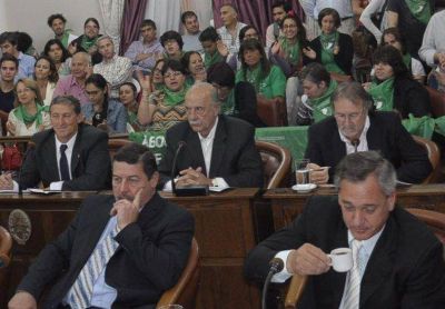 El Senado entrerriano archiv� el proyecto sobre aborto