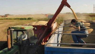Eliminaci�n de retenciones: �mejorar� los ingresos de Tres Arroyos�, afirman