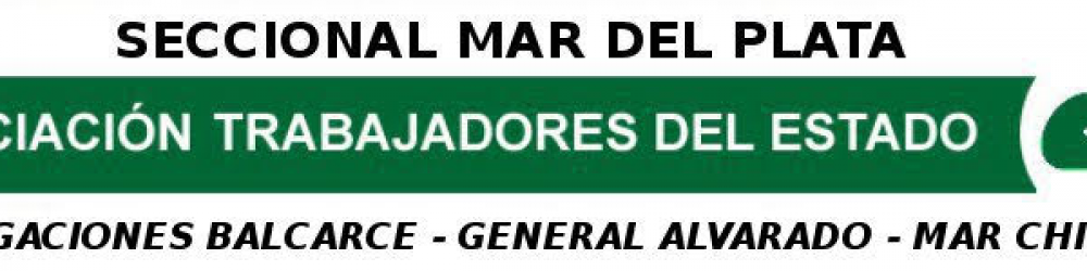 Desde ATE venimos para quedarnos, pese a quien le pese 