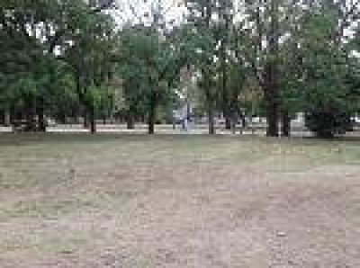 La Plata: Varios espacios p�blicos van tomando su forma, aunque a�n falta