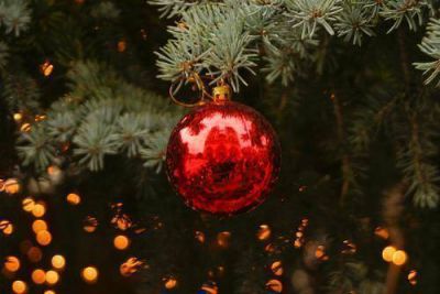 Francias | Autoridades de Francia refuerzan seguridad en los templos para la Fiesta de Navidad