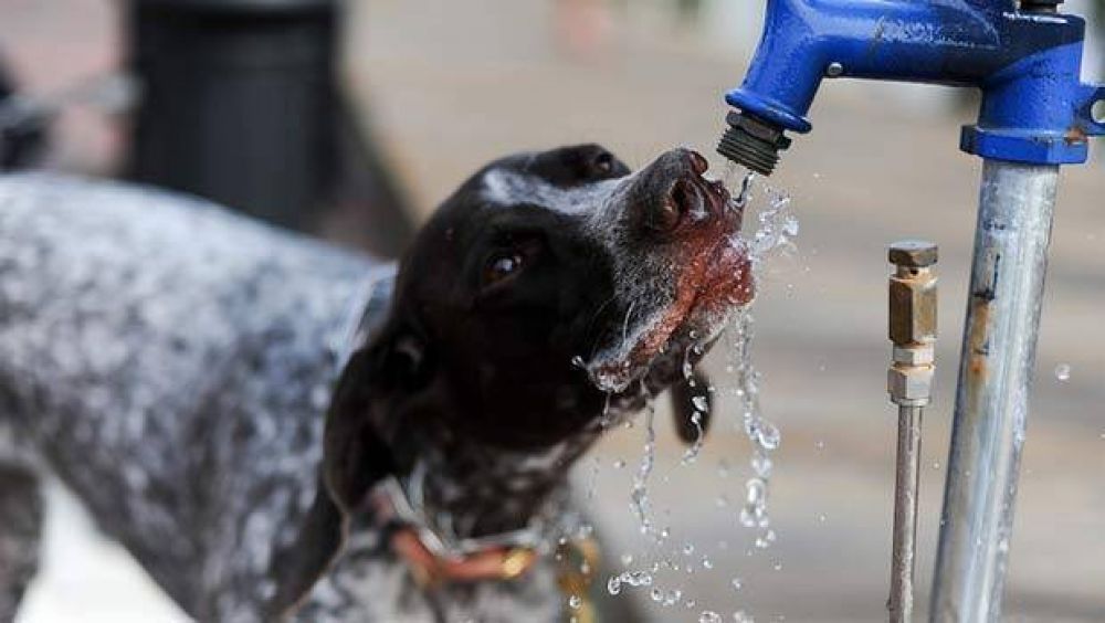 Anticipan una jornada de calor intenso con probabilidad de lluvias