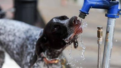 Anticipan una jornada de calor intenso con probabilidad de lluvias