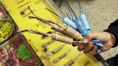 Pirotecnia: Del Valle destac� que la comunidad respeta la ordenanza que la proh�be