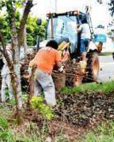 El municipio realiz� un operativo de limpieza en Santa Rita