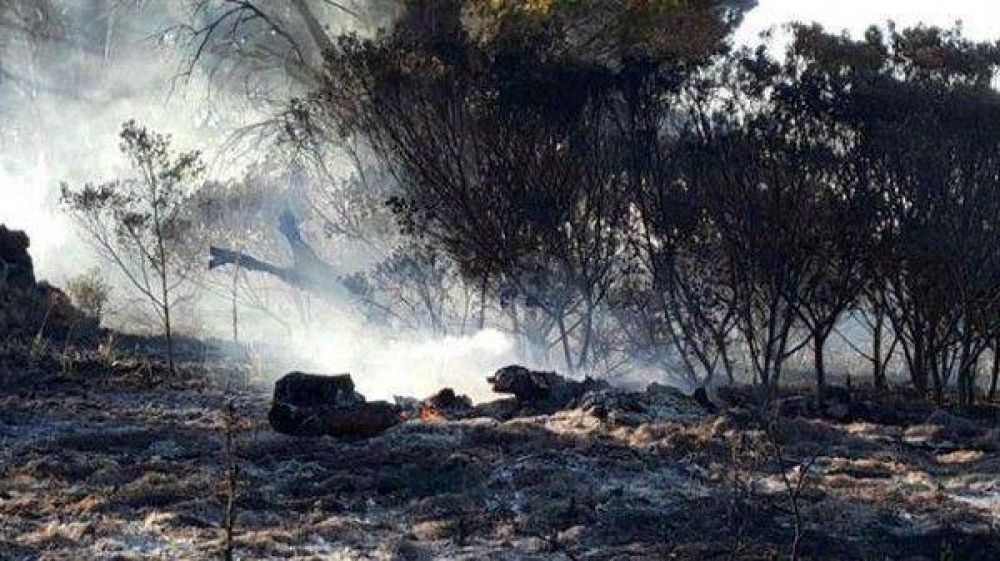 El Marquesado: �Hay intereses inmobiliarios detr�s de los incendios�