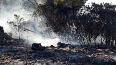 El Marquesado: �Hay intereses inmobiliarios detr�s de los incendios�