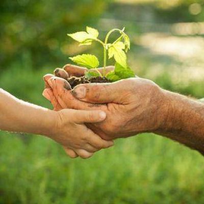 �Habemus Pactum�: un acuerdo hist�rico para el cuidado de la casa com�n