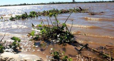 Dificultad en la provisi�n del agua