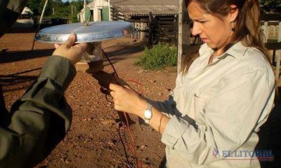 Las constantes lluvias dificultan el control de vectores que transmiten enfermedades