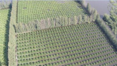 Desde el Sindicato de la Fruta minimizaron el impacto que tendr�n las inundaciones sobre las fuentes laborales 