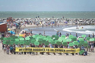 Turistas y marplatenses se sumaron a un masivo reclamo contra la deforestaci�n