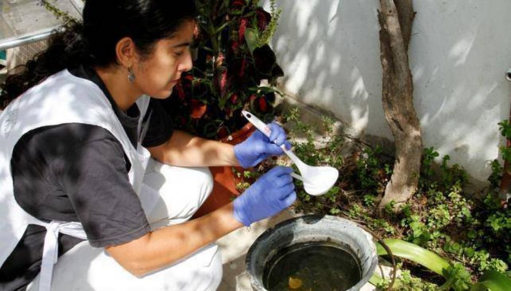 Proliferaci�n de mosquitos aumenta el riesgo sanitario
