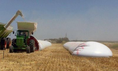 �Los productores vendieron dentro de los par�metros normales�