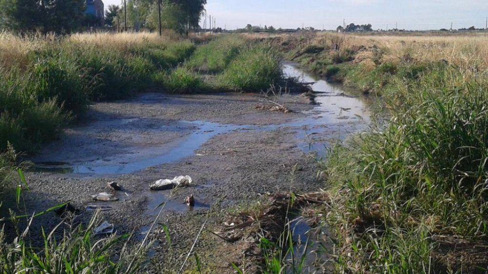 �En Millamapu disfrutan 'el arroyo' de agua potable, en Harding Green rebalsa de m...�