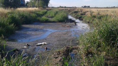 �En Millamapu disfrutan 'el arroyo' de agua potable, en Harding Green rebalsa de m...�