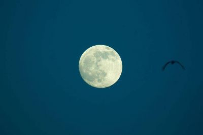 Papa Francisco: La Iglesia y el misterio de la luna