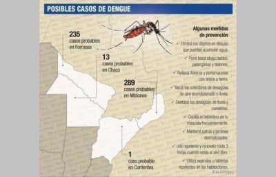 13 ser�an los casos probables de dengue en el Chaco