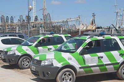 Veh�culos de la Direcci�n de Tr�nsito paralizados por falta de combustible