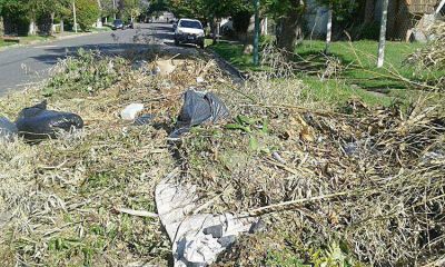 Entre la falta de respeto y los incumplimientos, proliferan los microbasurales en la ciudad