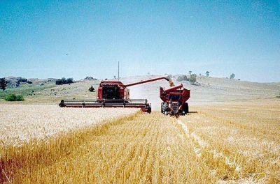 Cambio de �nimo y expectativas en el campo tras las medidas oficiales