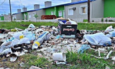La Municipalidad ejecuta el �nuevo plan de recolecci�n�