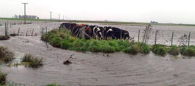  PRIMERA PLANA  Desde este lunes estar� disponible la documentaci�n para acceder a los beneficios de la emergencia agropecuaria 