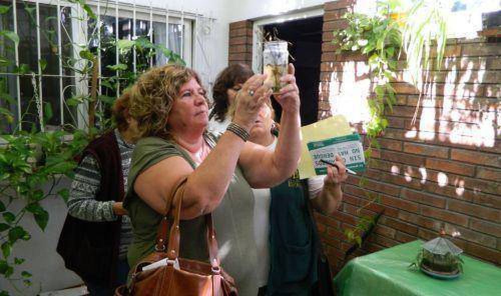 Lanzan campa�a de prevenci�n del dengue en todo el distrito