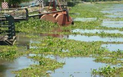 Creciente: Baradero en alerta y preparado para recibir evacuados