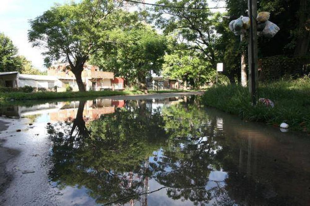 Ca�er�as rotas en el Paseo del Bosque