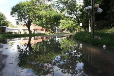 Ca�er�as rotas en el Paseo del Bosque