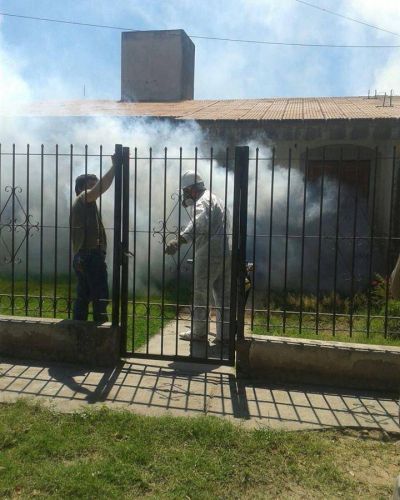 Fumigaci�n y descacharrado: bloqueo para el virus del dengue