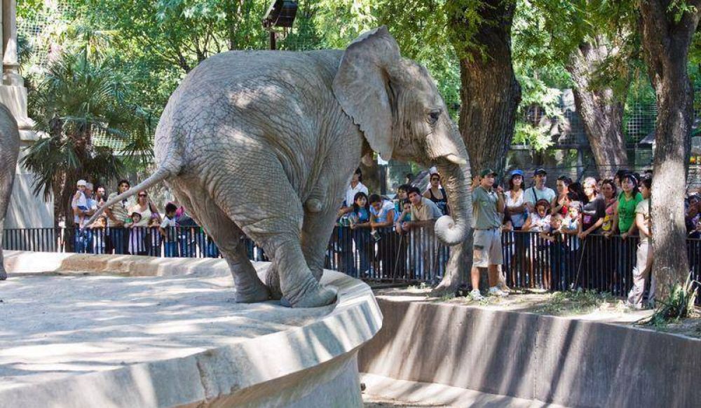 Confirman el cierre del Zoo porte�o