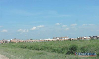 Abren los sobres de licitaci�n de los lotes de Santa Catalina