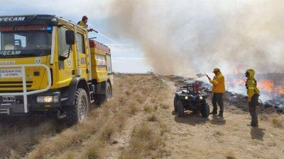 Se quemaron 2500 hect�reas de bosque nativo en la zona de Utrac�n