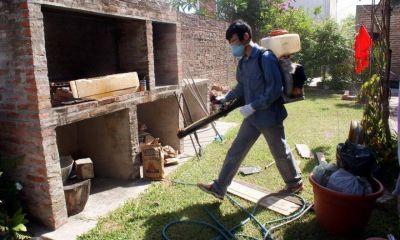 Fortalecen acciones contra el dengue